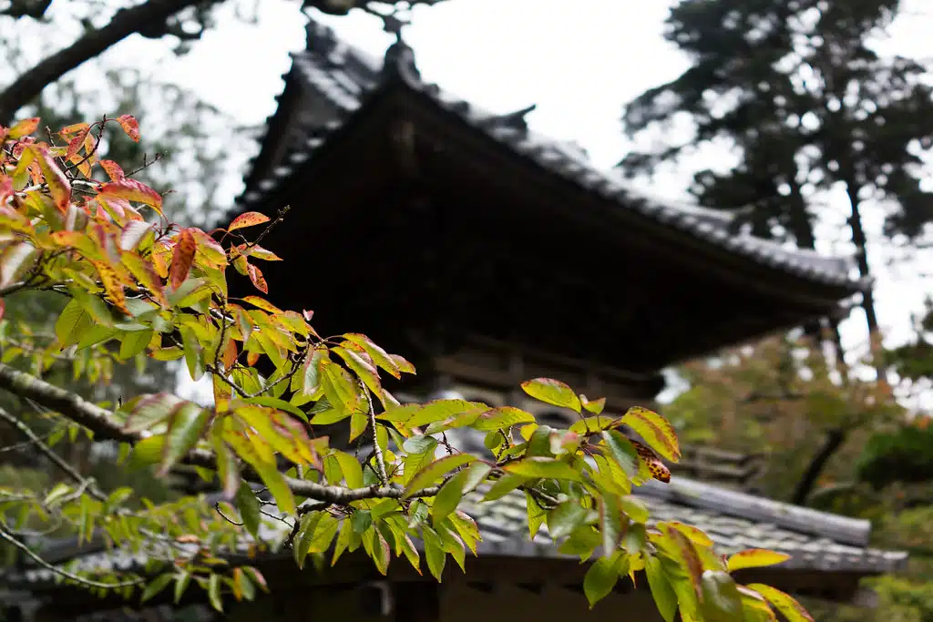 What are Japan’s weaknesses?