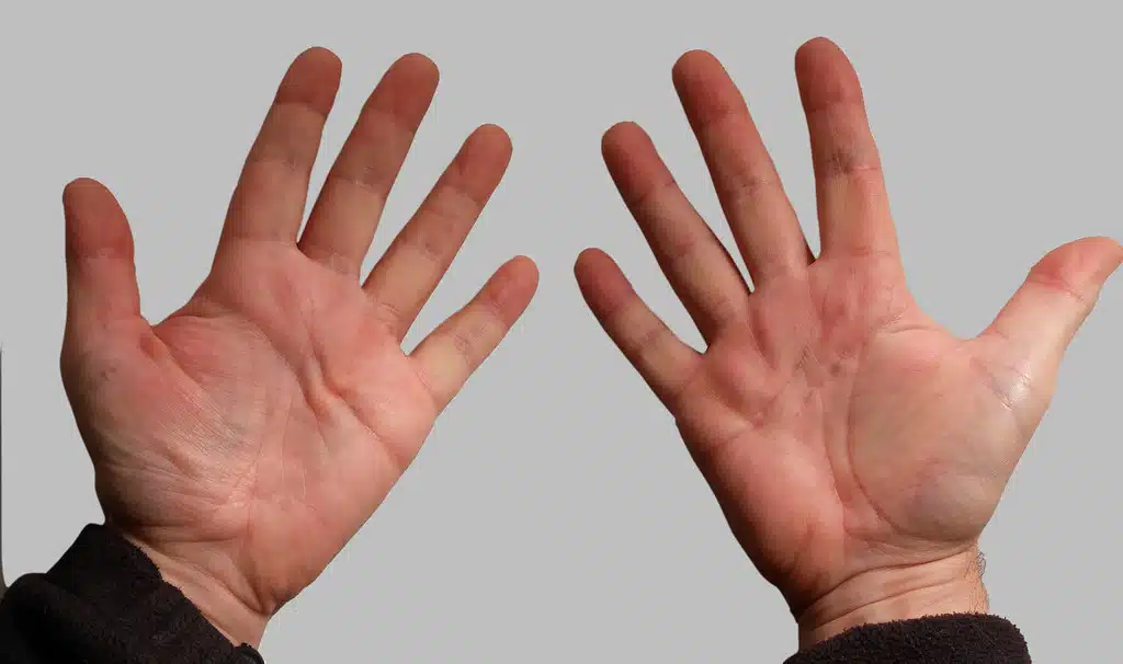 What is the Japanese middle finger?