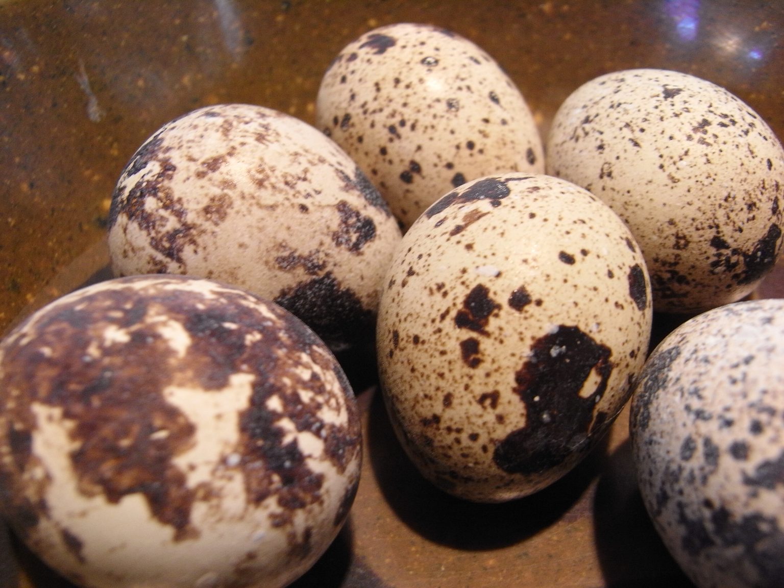 Why do Japanese eggs look different? Japan Nihon