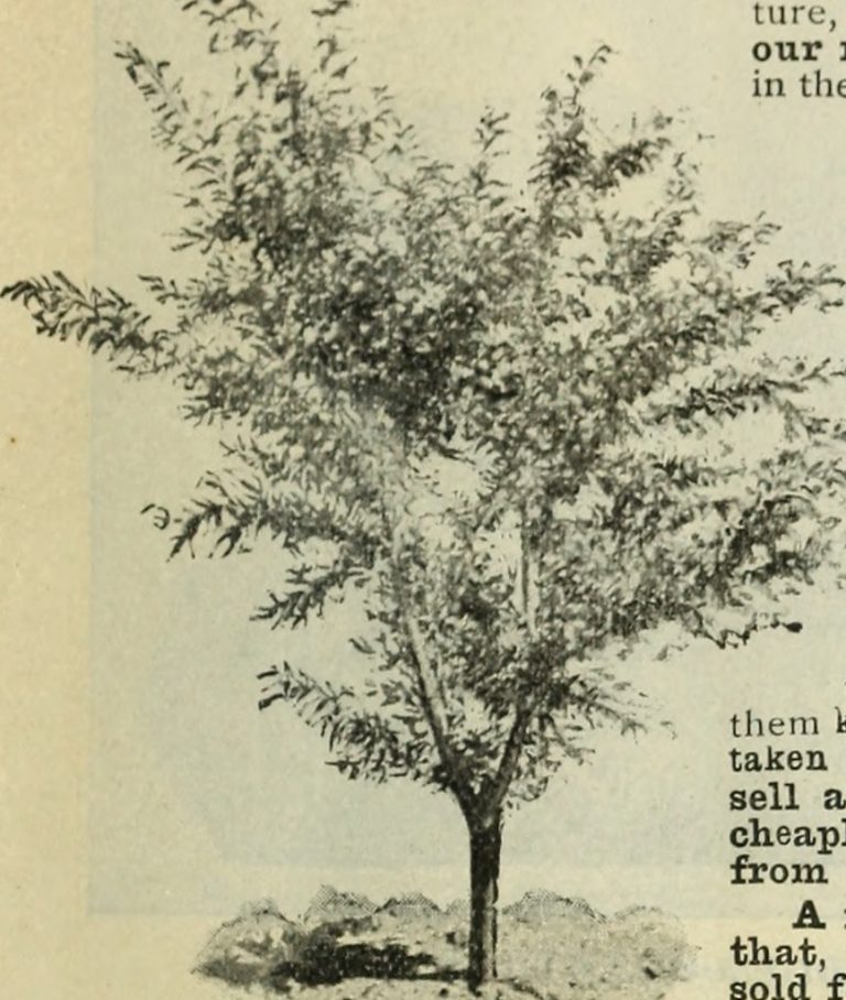 Is property cheap in Japan? Japan Nihon