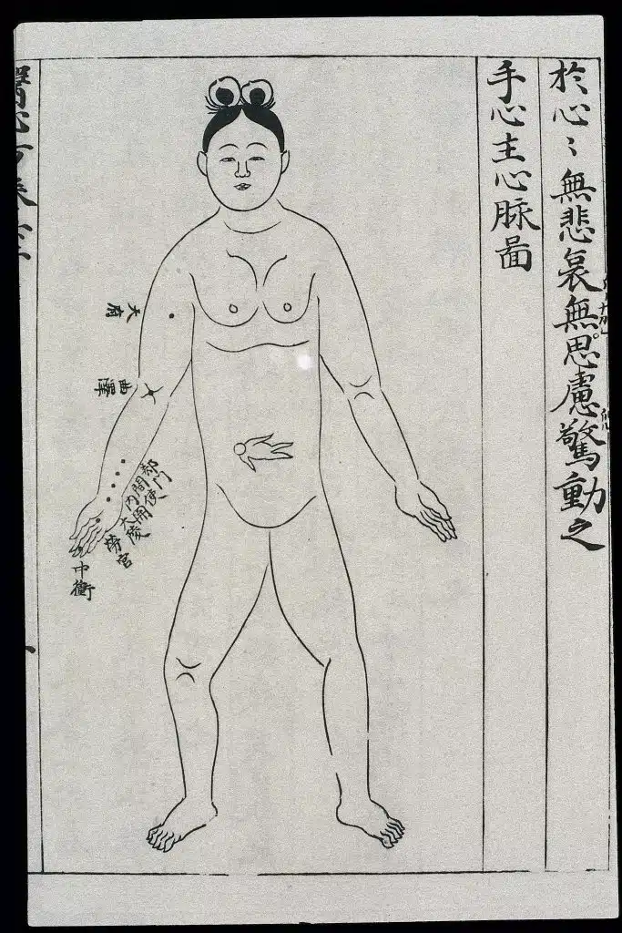 What is the Japanese pregnancy tag?
