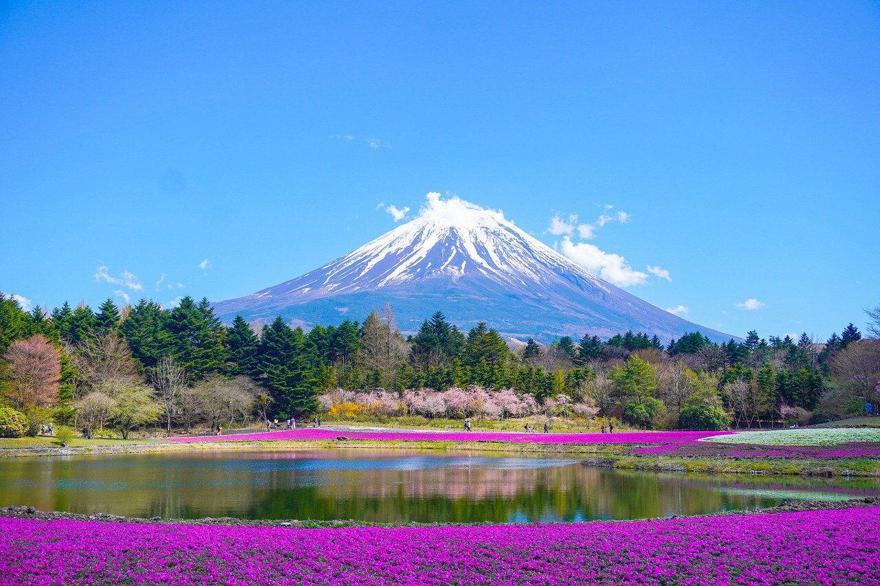 mount fuji