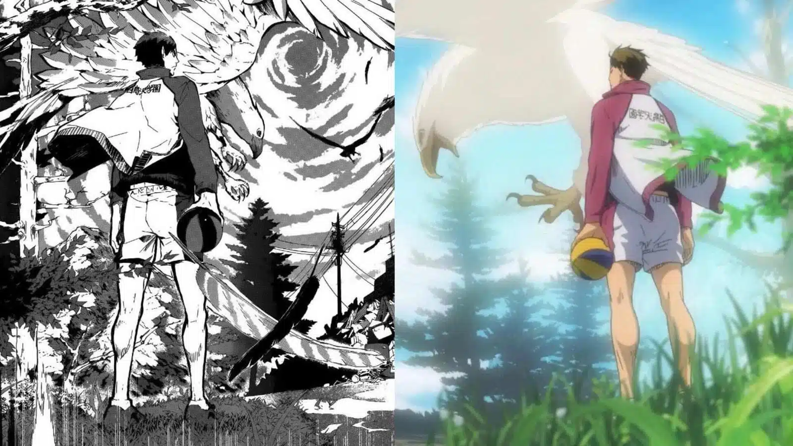 manga vs anime