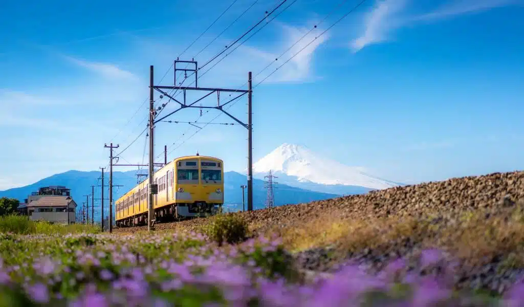 tokyo wide pass