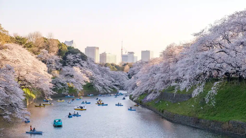 What to see in tokyo japan?