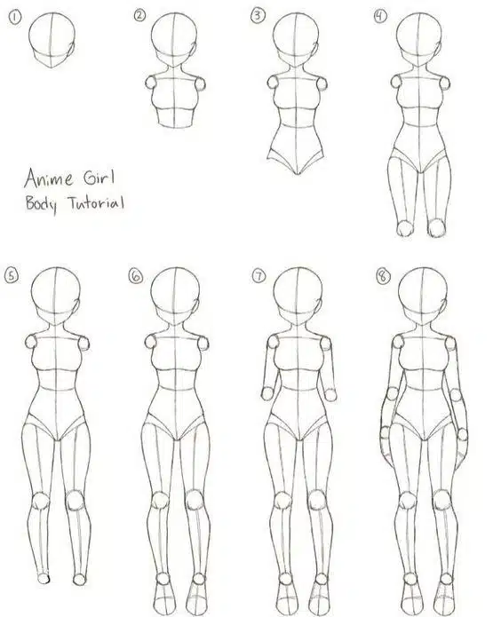 How to draw the anime body?