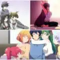 What is anime harem?