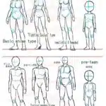 How to draw anime bodies?