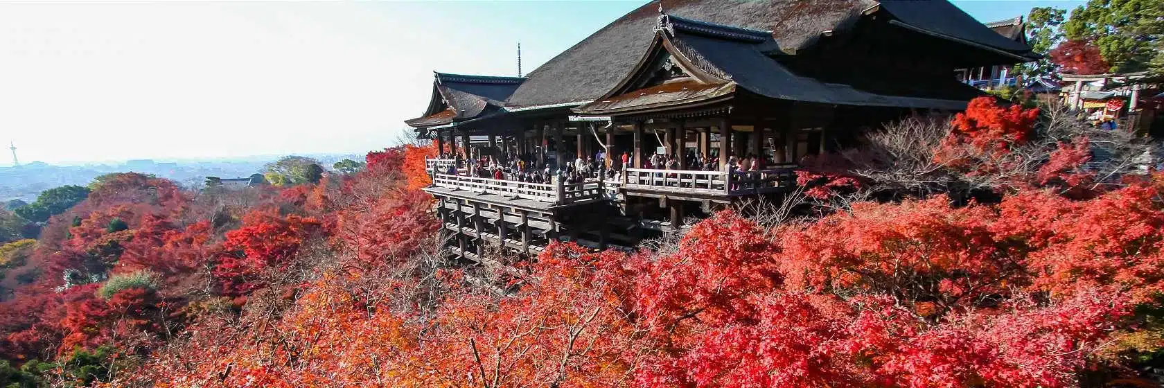 kyoto travel