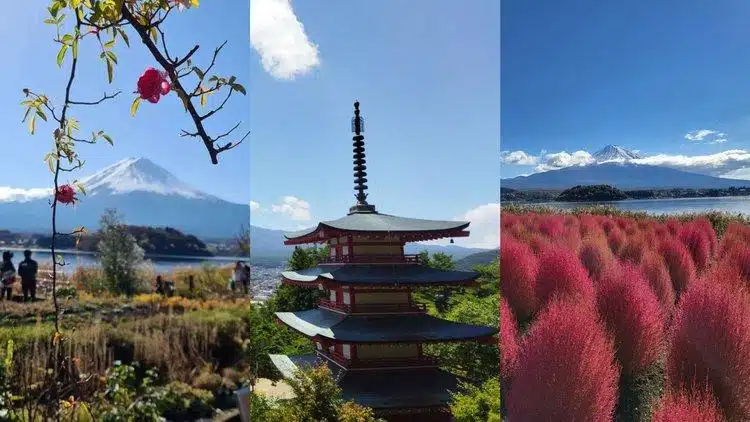 mount fuji travel