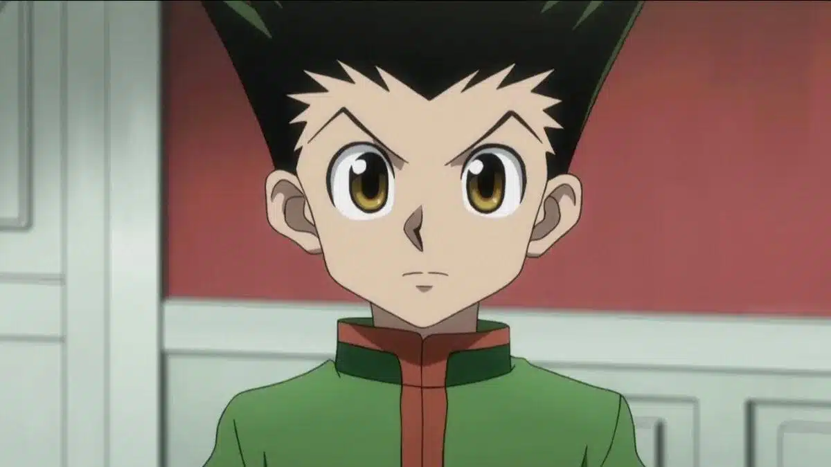 hunter x hunter