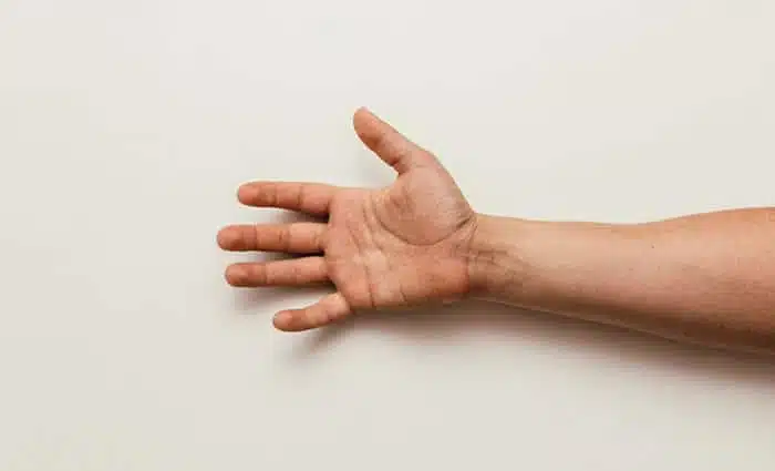 hands