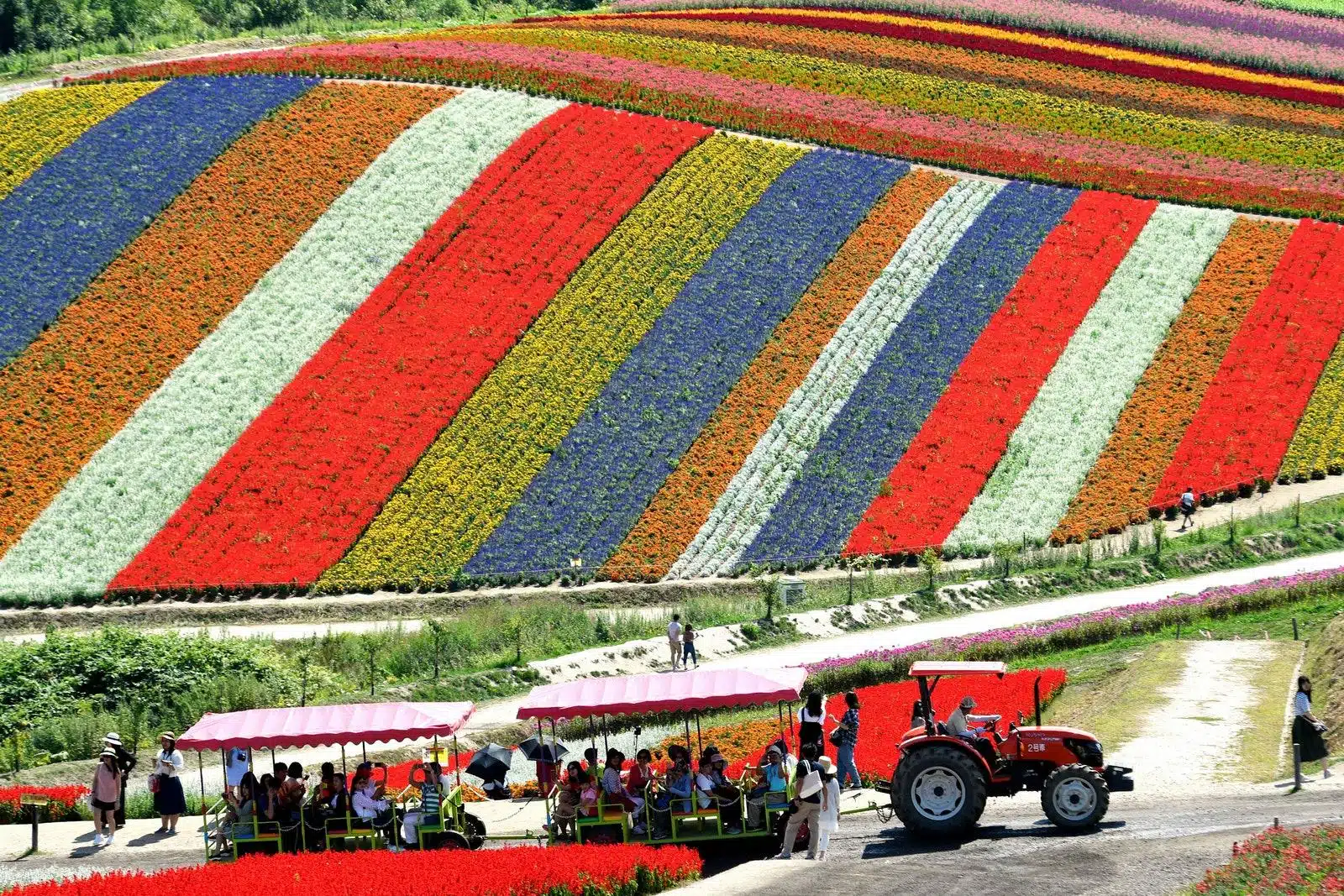 Hokkaido travel
