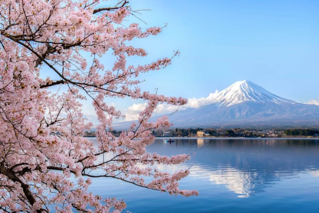JapanNihon.com – Your Gateway to Discovering Japan
